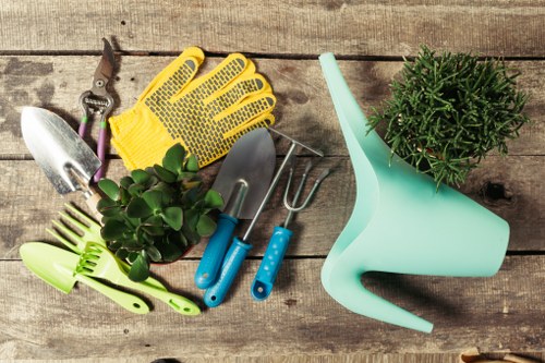 Professional hedge trimming services in Parsons Green