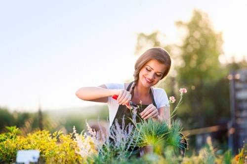 Team trimming hedges in a Parsons Green garden