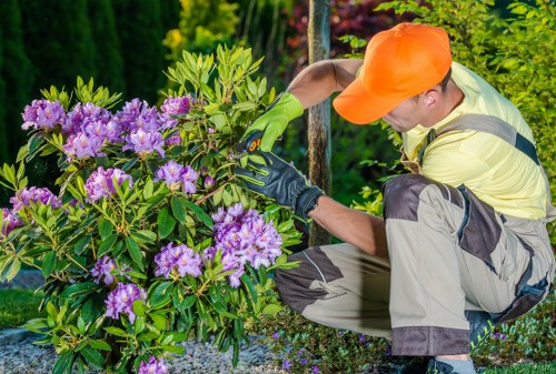 Tools essential for hedge trimming
