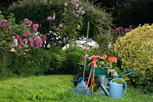 Seasonal hedge trimming in Parsons Green