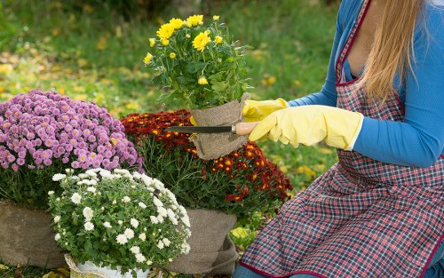 Person adjusting cookie settings on a mobile device near a garden