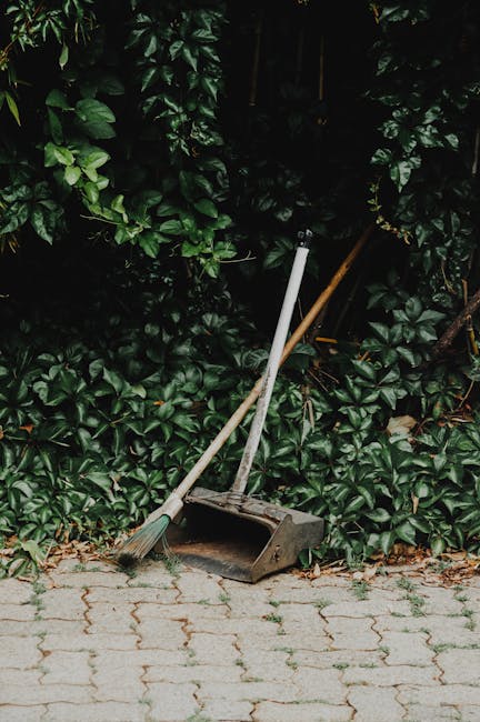 A garden scene featuring a paved pathway made of light-colored bricks with a textured surface, bordered by dense, dark green foliage. Leaning against the hedge are garden tools, including a broom with