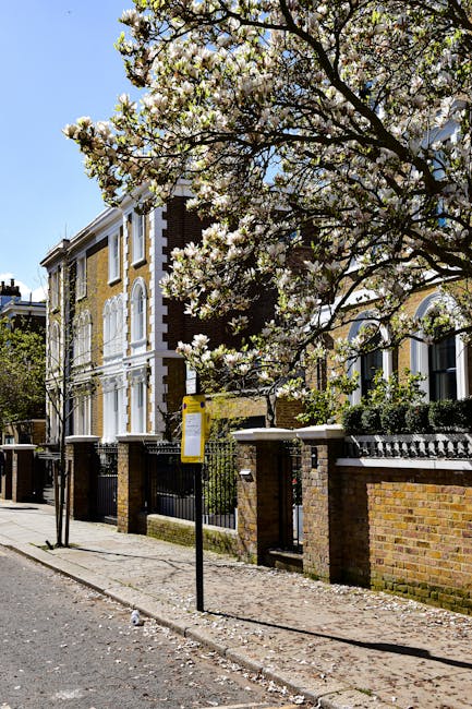 A row of terraced houses on New Kings Road with brick facades, featuring white-framed windows and lush garden borders along the pavement. The gardens contain a variety of potted plants, including flow